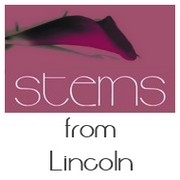 Stems from Lincoln Florist 289196 Image 2